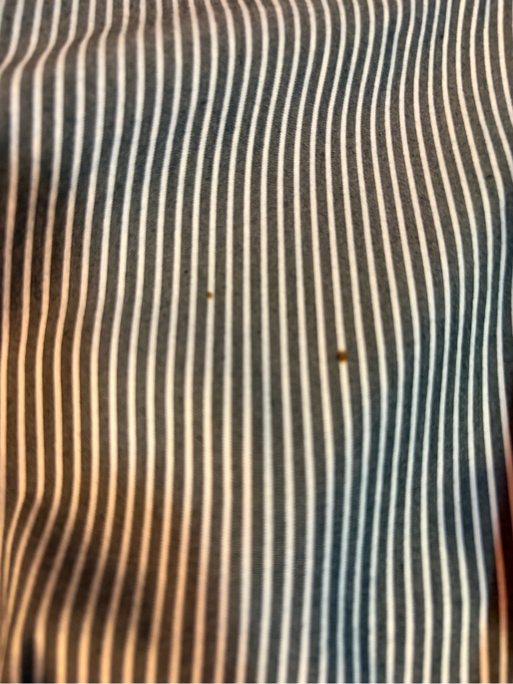 J. Jill Light Blue Embroidered Striped Cotton Blouse - Picture 6 of 8